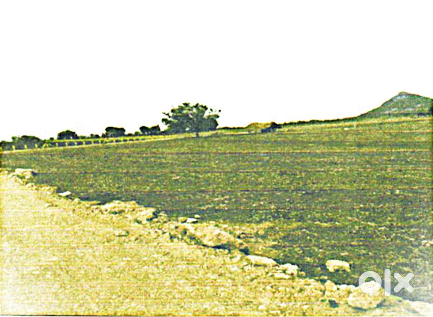 183 Sq.Yards Plot for Sale.