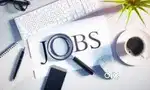 need staff in hot million