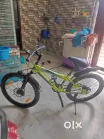 Light green colour cycle