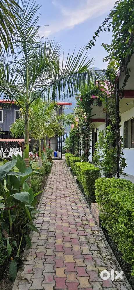 Cook required for Resort in Mohanchhatti Near Rishikesh