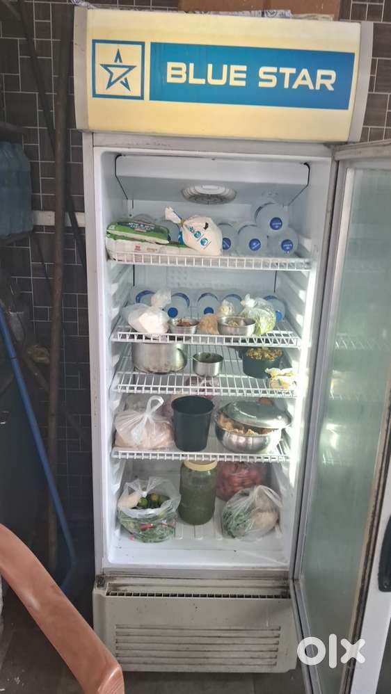 Blue Star Commericial Fridge