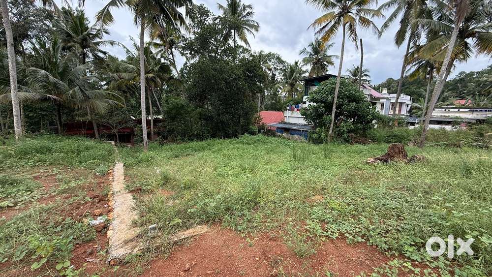 9 cent Land for sale Near Jio Petrol Pump Pothencode,Kattaikonam