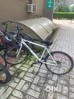 White Bicycle in mint condition