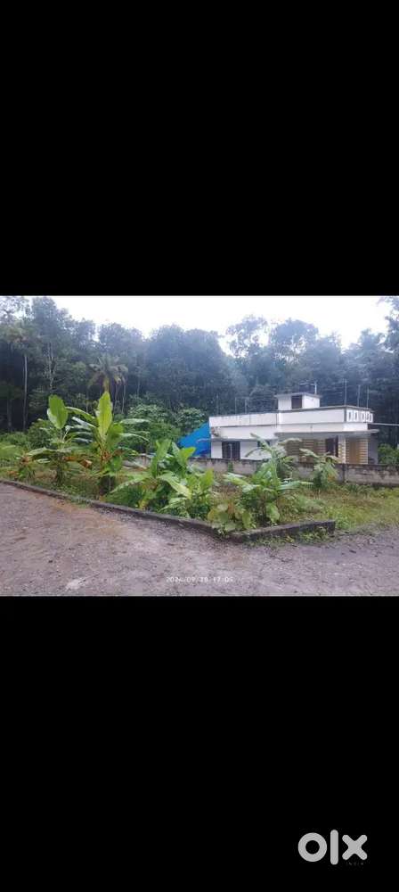 Plot for sale in venjaramoodu trivandrum