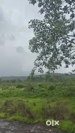 Satarda Sawantwadi Goa Border