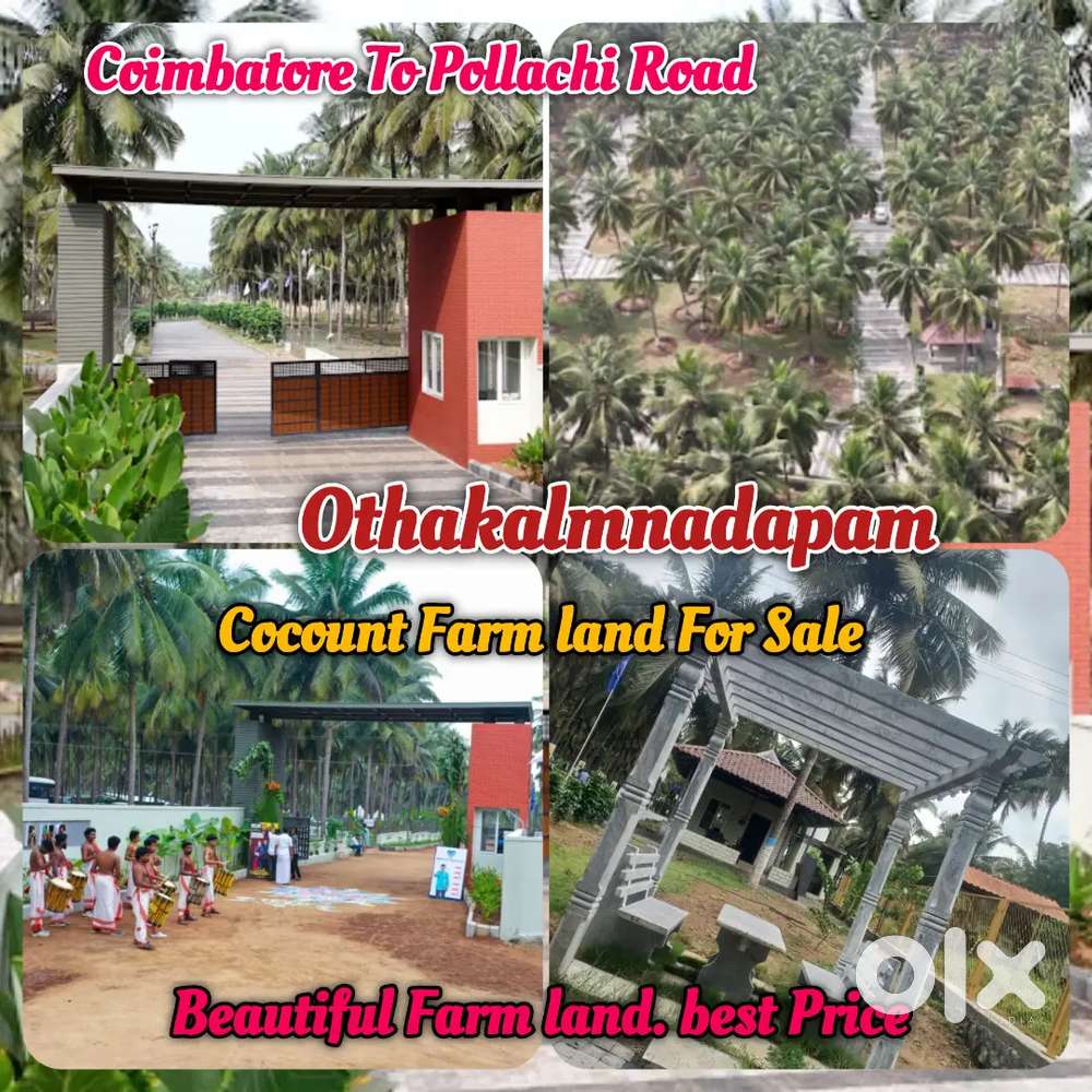 தென்னை மரத்துடன் பண்ணை நிலம் விற்பனைக்கு