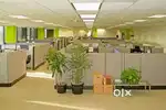 Wanted m/ f staffs with daily salary 1600 above