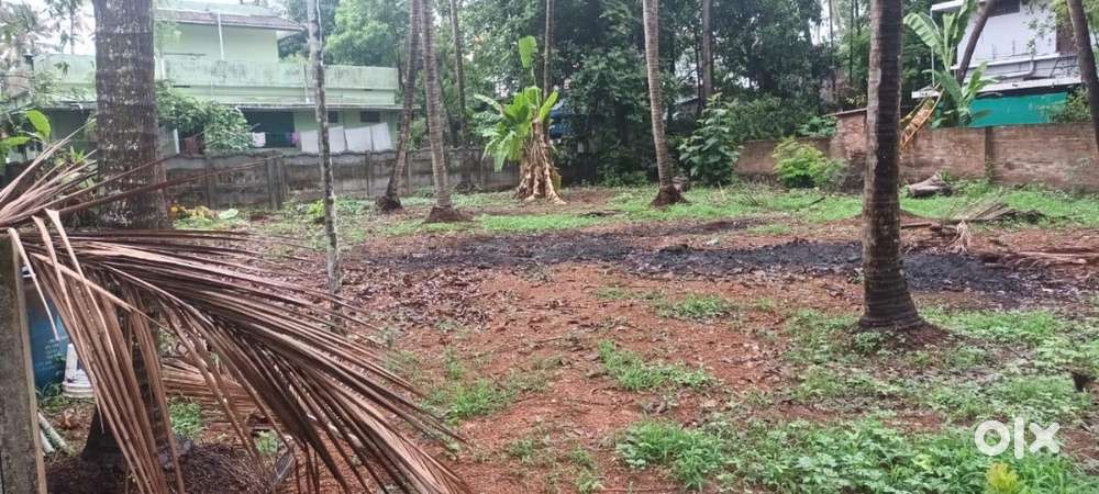 Land / Plot for sale near Olarikkara