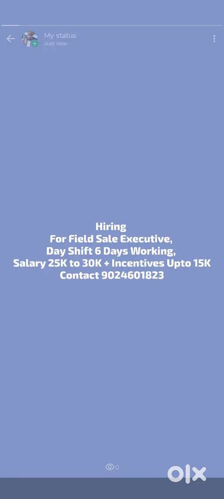 BUSINESS DEVELOPMENT EXECUTIVE