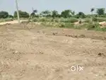 Goat &Dairy Farming Land Lease Partnership / Investor / Rent