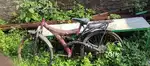Cycle sales