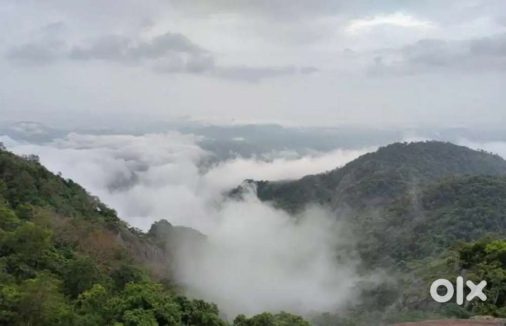 I am a bsc physics honours student