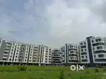 Dream house
