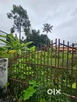 Plot for sale at edappally toll