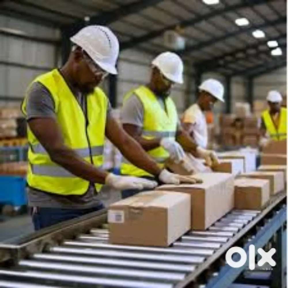 WARE HOUSE PACKING, HELPER,SCANNING JOB IN LUCKNOW LOCATION!
