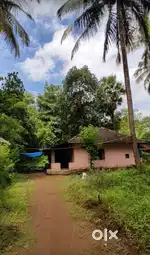 Nature friendly 16 cent house plot for sale