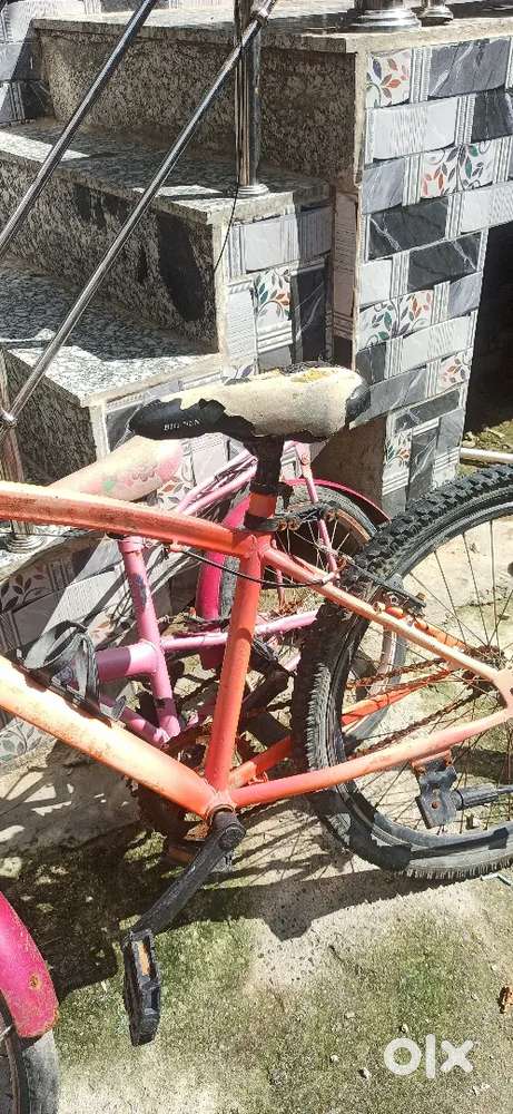 2 bycycle  kids