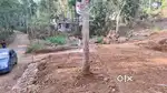 4 cent powdikonam ayirooppara (urgent sale)