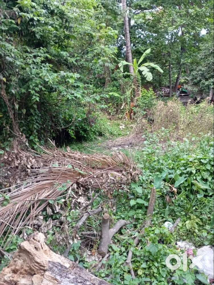 Affordable 2346 Squre Feet Vacant Land In Keorapukur Tollygunge Area