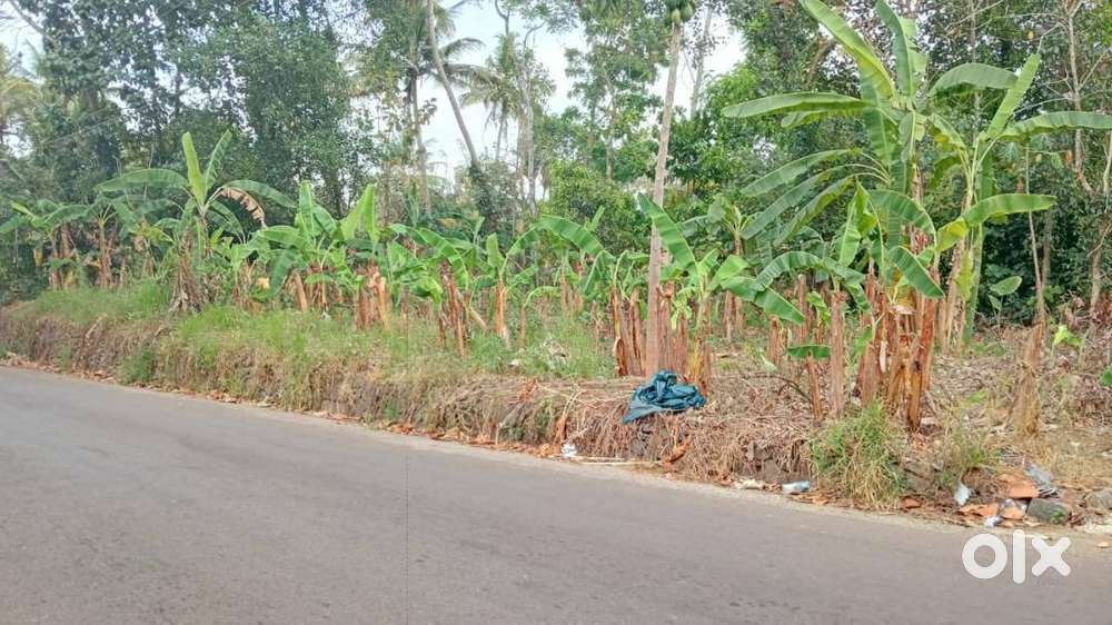 Plot For Sale @ Njaliyakuzhy