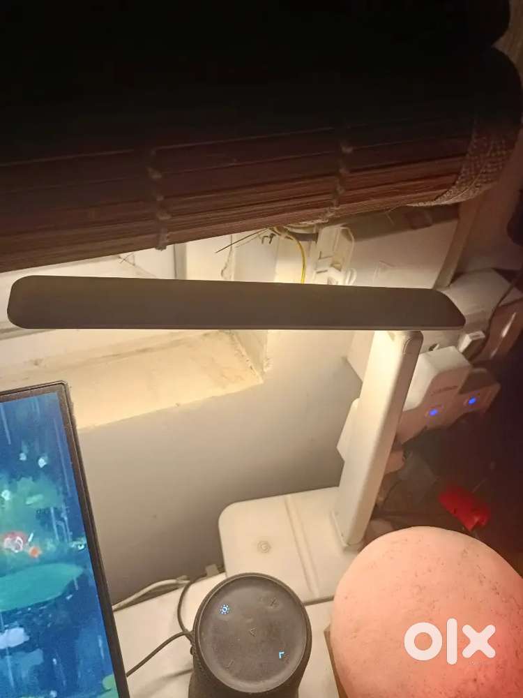 Big Study lamp with 2 lights