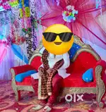 Sherwani  for groom