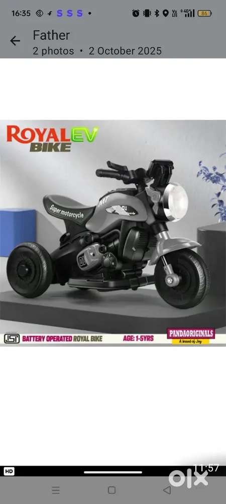 Panda original electric bike with 12v bettary