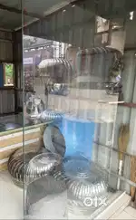 Glass 12mm Tufan Glass