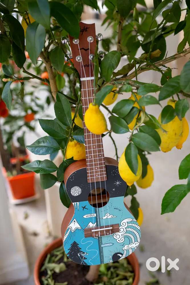 Ukulele Imported from Europe at mint condition