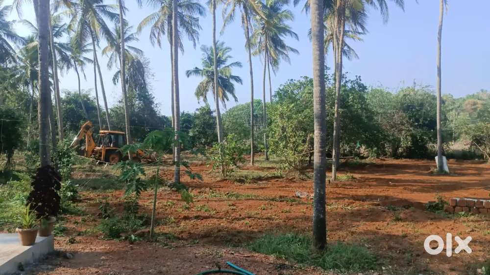 1 Acre site for Sale in Alakkad