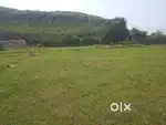 OPEN PLOT FOR SALE IN UNDAVALLI