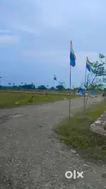 Best plot , Best area