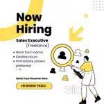 Sales executives