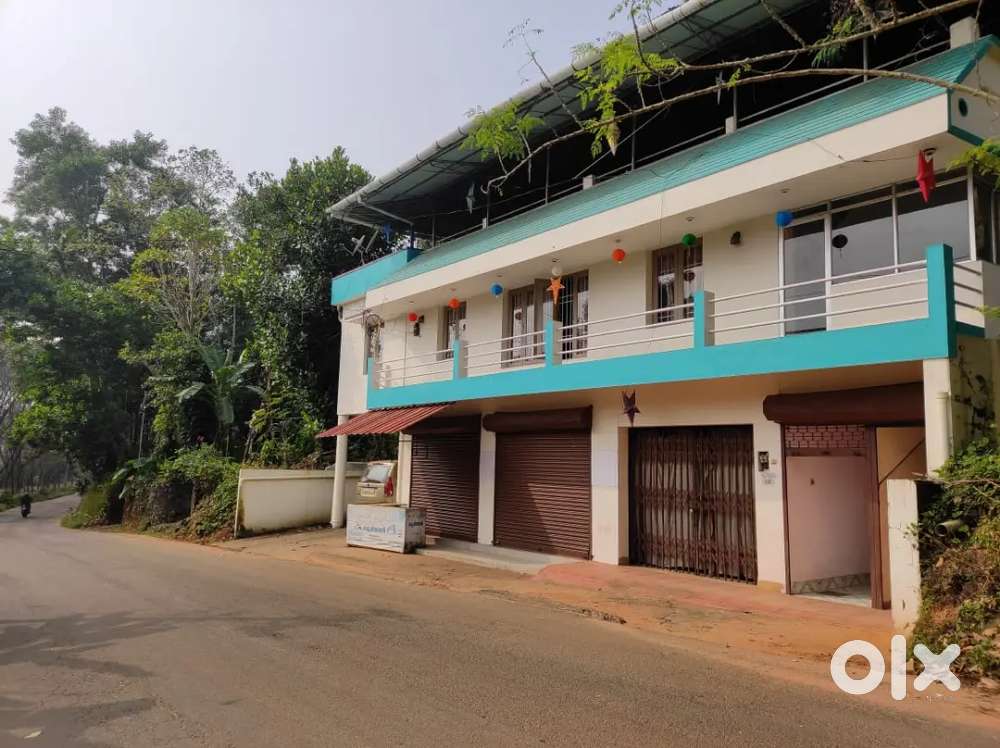 4+ bedroom house for sale