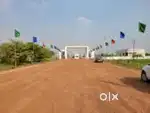 Devloped Plot Old Dhamtari ROAD
