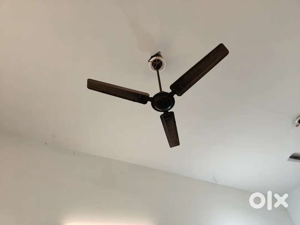 Sleek 3-Blade Dark Brown/Black Ceiling Fan Excellent Working Condition