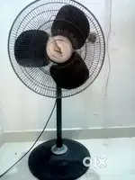 IM Selling A Fan