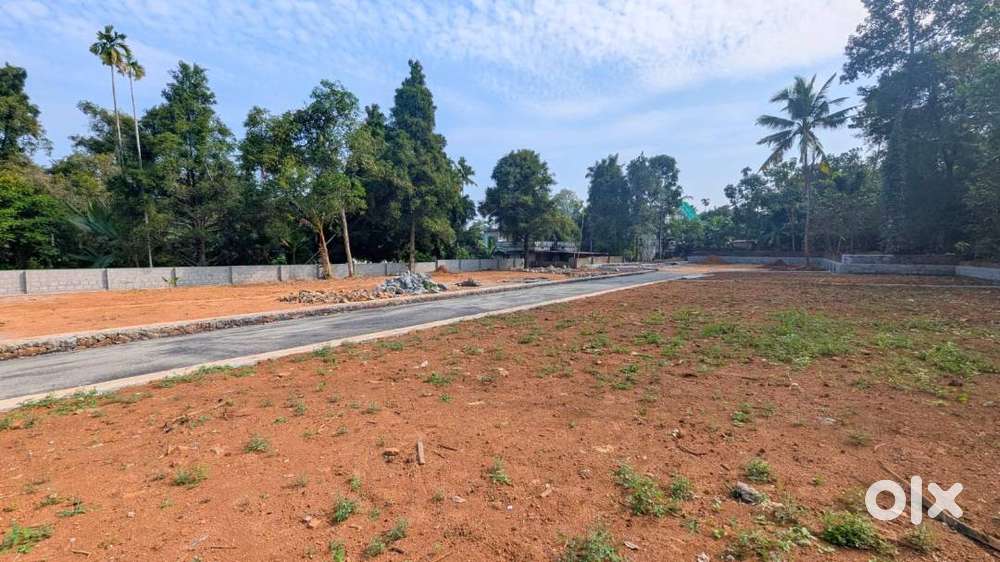 Angamaly–Karukutty Near Apollo Hospital  5–10 Cent Plot Free Reg 3L DP