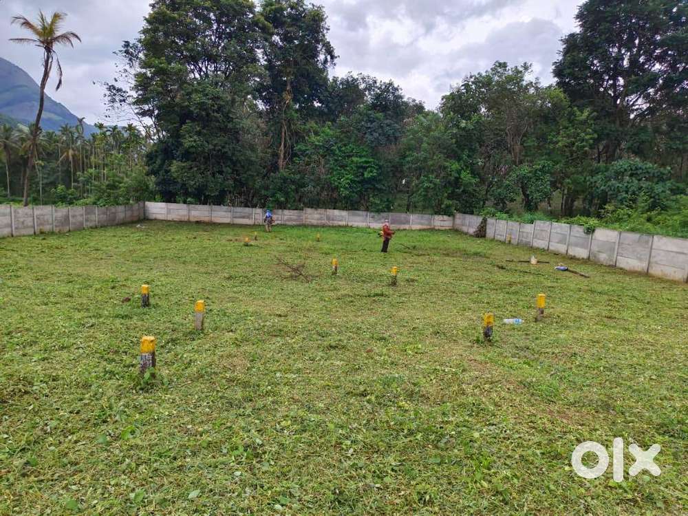 നെഹ്‌റു കോളേജിന് അടുത്ത് ഹൈവേ സൈഡിൽ 3 BHK വില്ല പ്ലോട്ടുകൾ