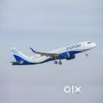 548 vacancy available for indigo Airlines jobs nearest airport