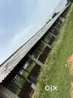 Poultry farm