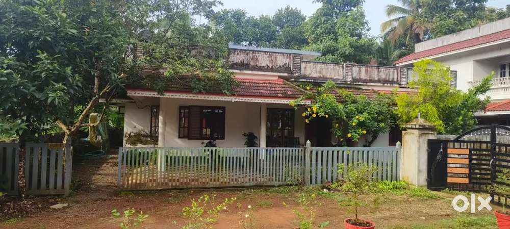 Urgent sale House