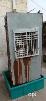 Mathura, masani chauraya Kana Makan school ke pass.