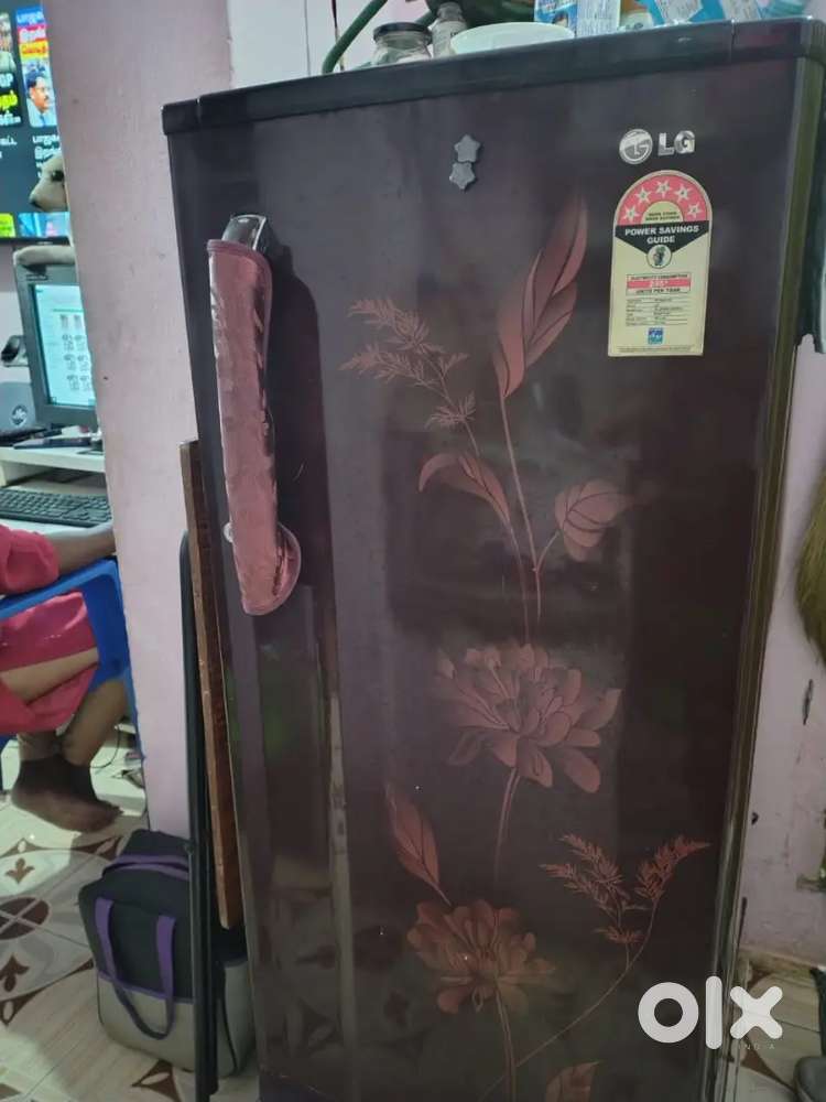 LG fridge 190 litres with 5star rating