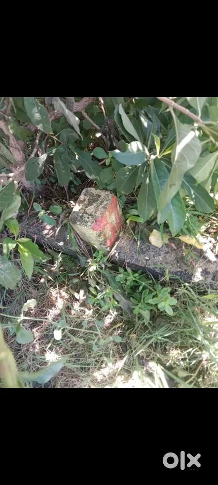 Mundiyam pakkam to  orathur road