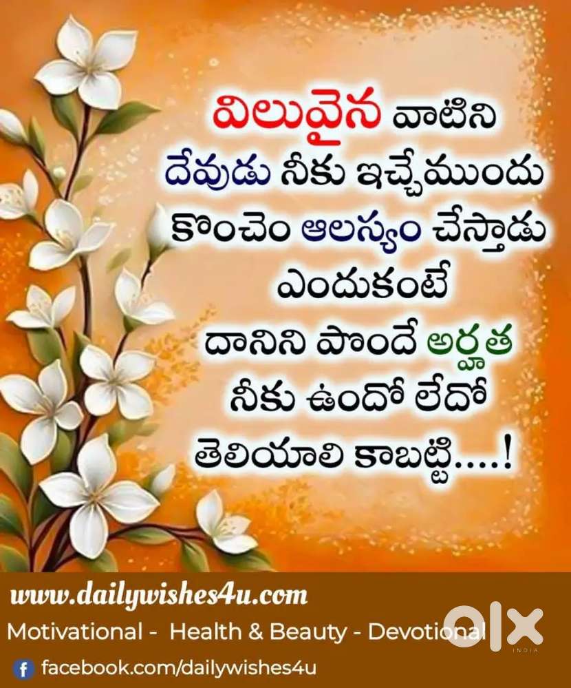 హోటల్లో టిఫిన్స్ మాస్టర్ కావాలి