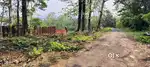 100 CENT LAND KORATTY INDUSTRIAL AREA FOR SALE