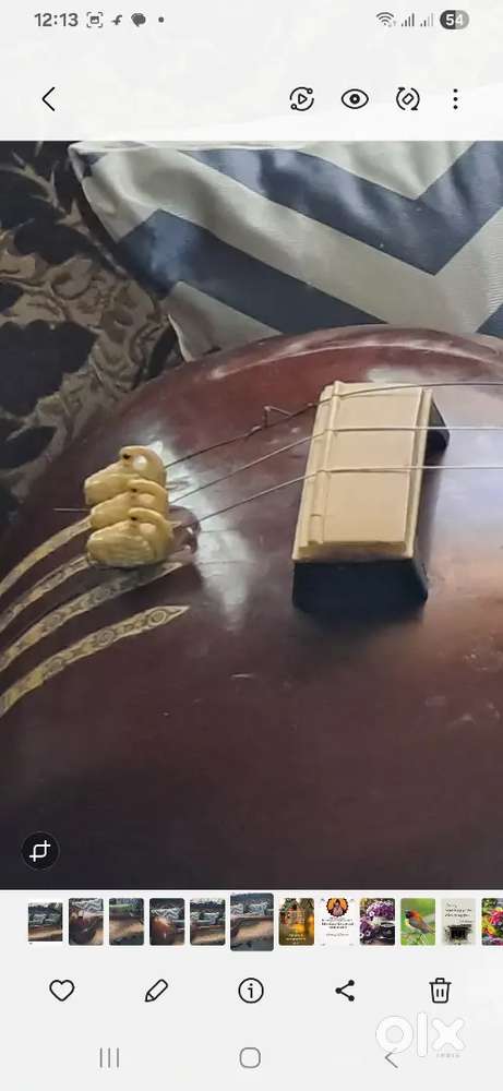 Male Tanpura