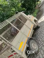 Tata ace pretol