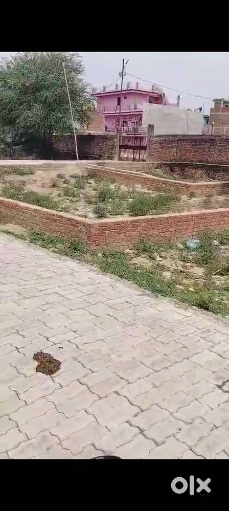 Plot is on 20 feet road
